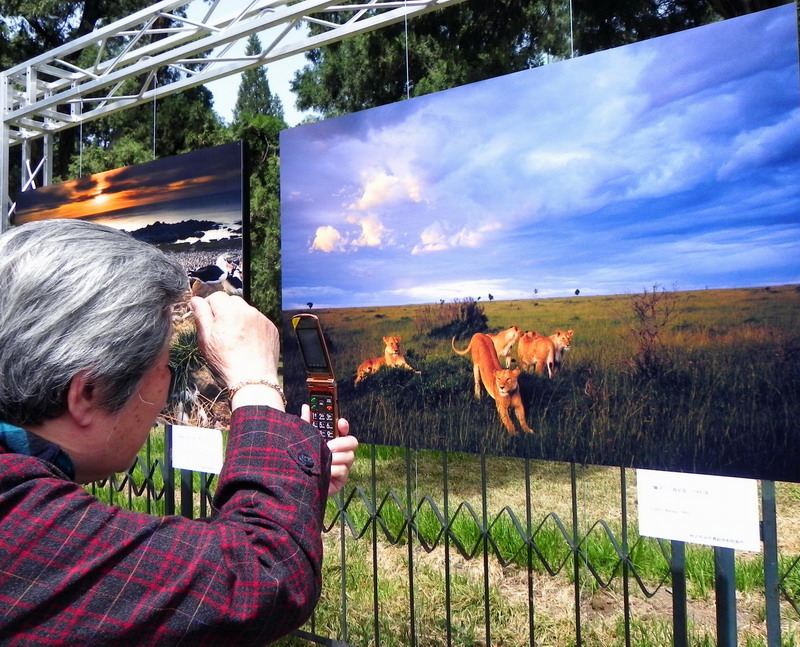 'Power of the Image' opens at Temple of Heaven