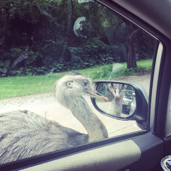 看到玻璃就想照鏡子？