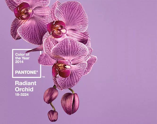 搶先看！2018年度色彩如此神秘又高科技