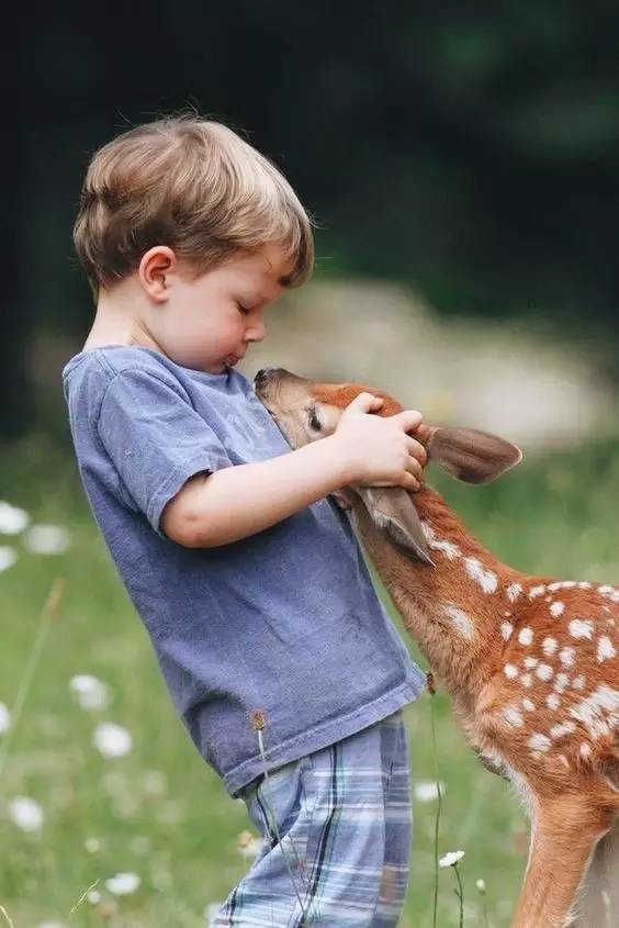 最溫情的抓拍，我的心被治愈了100遍（組圖）