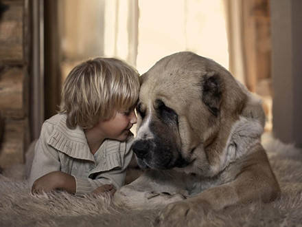 孩子和寵物 讓人心動(dòng)的溫馨瞬間