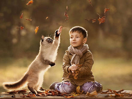 孩子和寵物 讓人心動(dòng)的溫馨瞬間