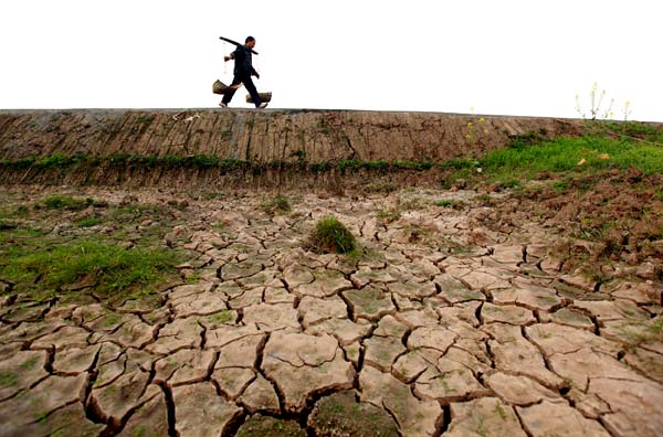 Drought continues to wreak havoc in SW China
