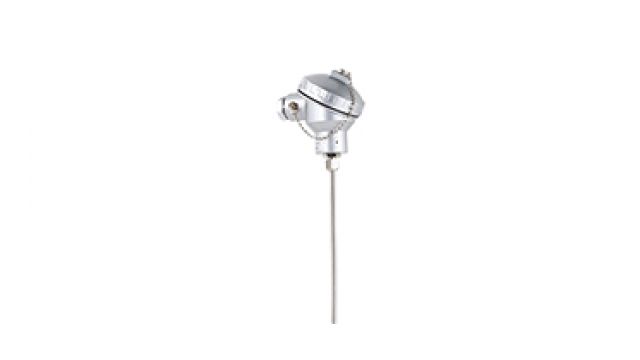 鎧裝熱電阻/熱電偶