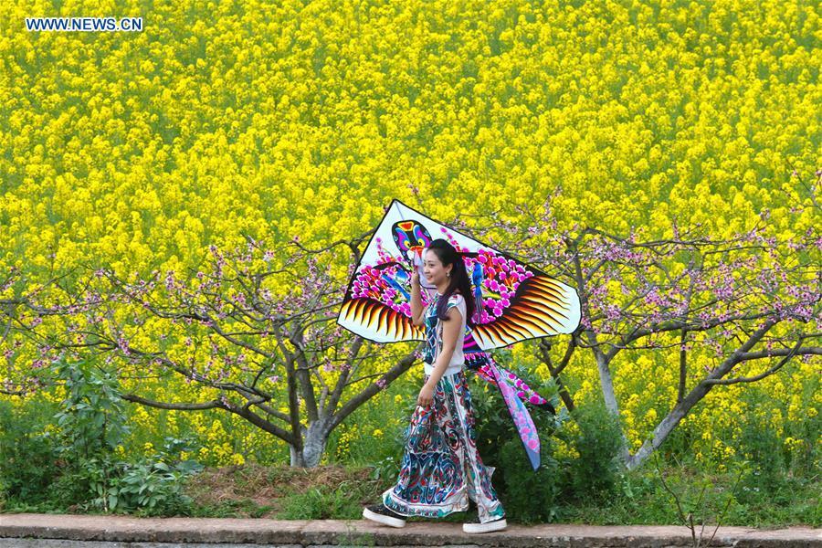 Peach blossom field attracts visitors in Sichuan province